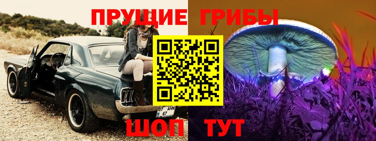 Псилоцибиновые грибы Psilocybe  Вход с VPN  как найти закладки  Киров 