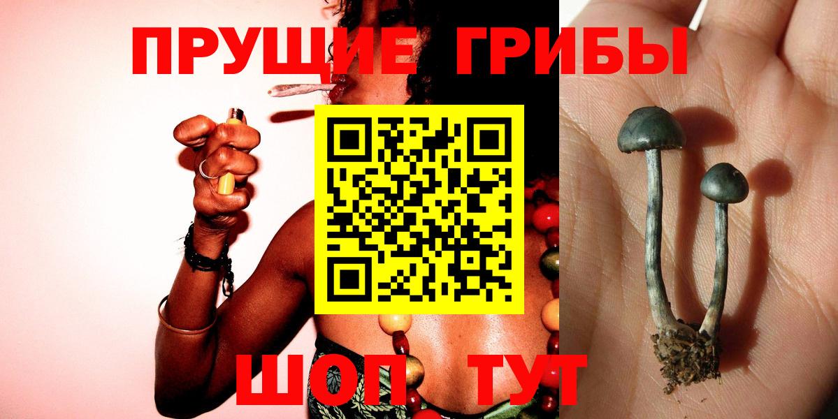 Псилоцибиновые грибы MAGIC MUSHROOMS Киров